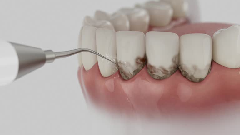 Reliable Dental contractor in Chesterland, OH by Dentist Open Now